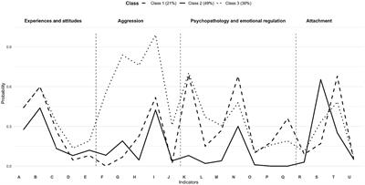 IPVAW male perpetrators convicted in Spain: a typology and characterization based on latent class analysis